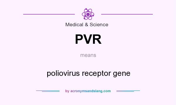 What does PVR mean? It stands for poliovirus receptor gene