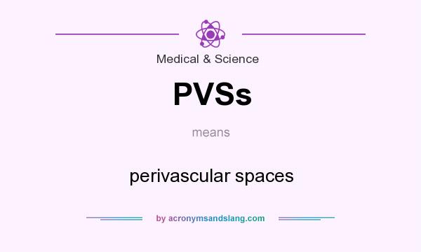 What does PVSs mean? It stands for perivascular spaces