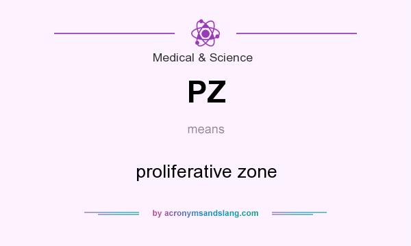 What does PZ mean? It stands for proliferative zone