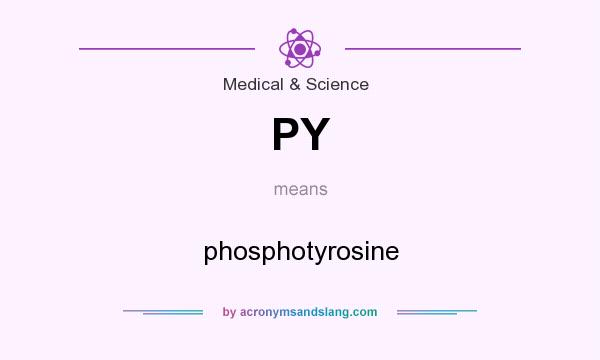 What does PY mean? It stands for phosphotyrosine
