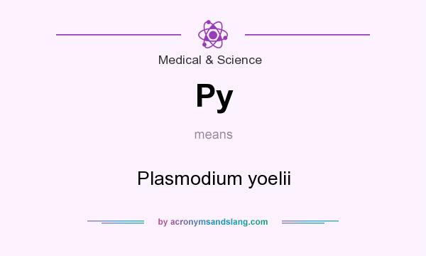 What does Py mean? It stands for Plasmodium yoelii