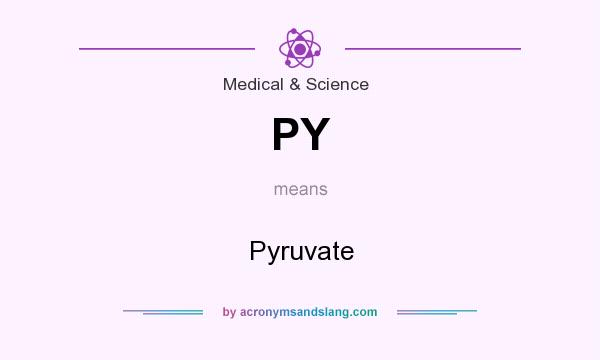 What does PY mean? It stands for Pyruvate