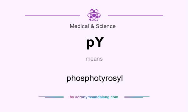 What does pY mean? It stands for phosphotyrosyl