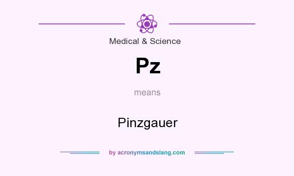 What does Pz mean? It stands for Pinzgauer