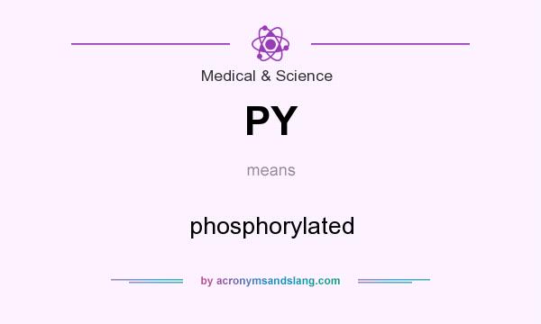 What does PY mean? It stands for phosphorylated