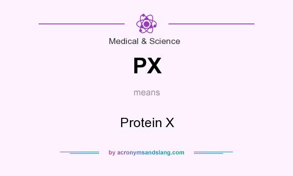 What does PX mean? It stands for Protein X