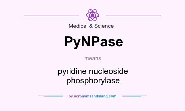 What does PyNPase mean? It stands for pyridine nucleoside phosphorylase