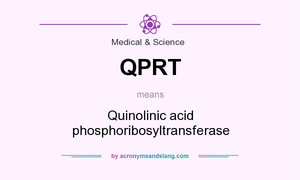 What does QPRT mean? It stands for Quinolinic acid phosphoribosyltransferase