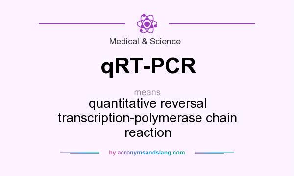 What does qRT-PCR mean? It stands for quantitative reversal transcription-polymerase chain reaction
