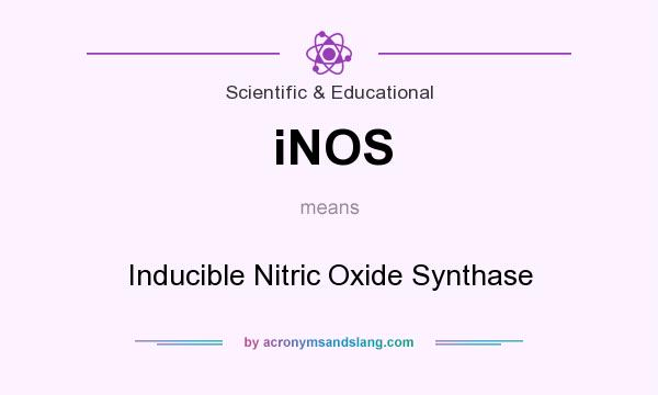 What does iNOS mean? It stands for Inducible Nitric Oxide Synthase