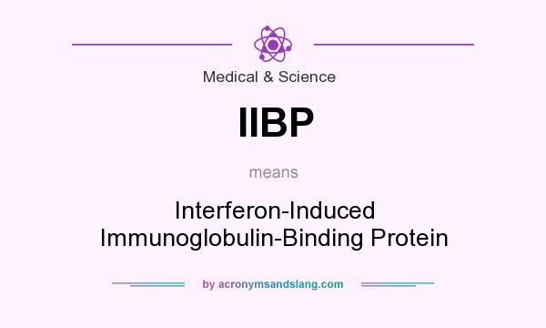 What does IIBP mean? It stands for Interferon-Induced Immunoglobulin-Binding Protein