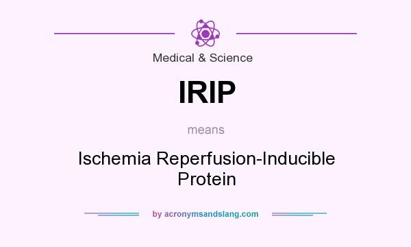What does IRIP mean? It stands for Ischemia Reperfusion-Inducible Protein
