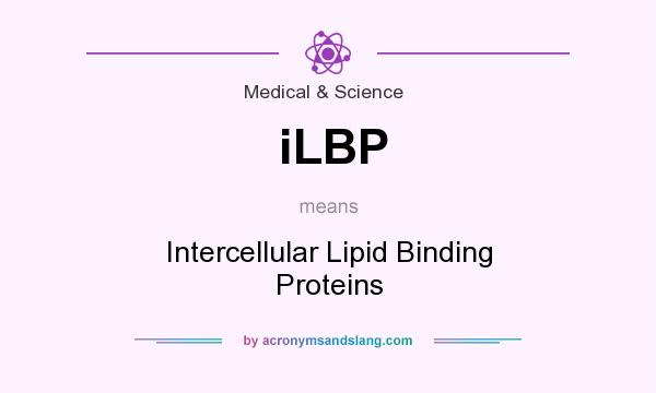 What does iLBP mean? It stands for Intercellular Lipid Binding Proteins