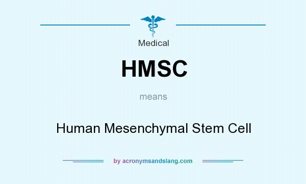 What does HMSC mean? It stands for Human Mesenchymal Stem Cell