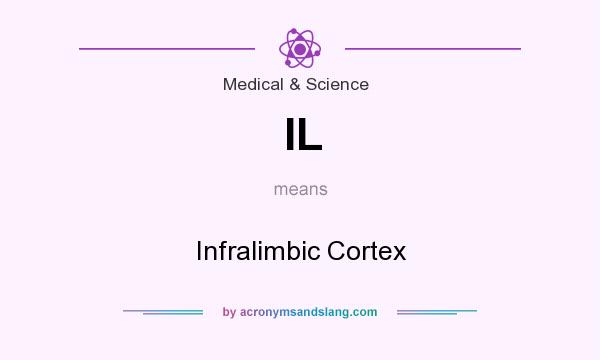 What does IL mean? It stands for Infralimbic Cortex