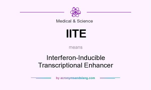 What does IITE mean? It stands for Interferon-Inducible Transcriptional Enhancer