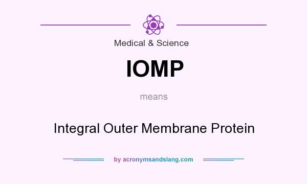 What does IOMP mean? It stands for Integral Outer Membrane Protein