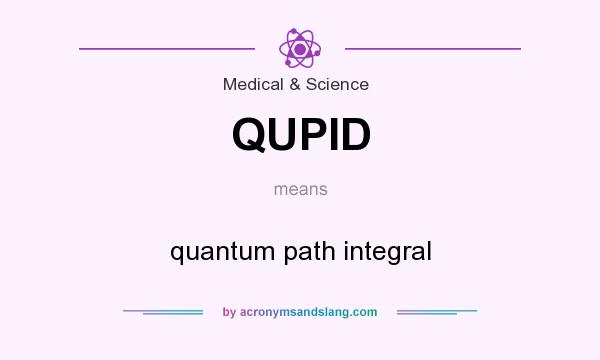 What does QUPID mean? It stands for quantum path integral