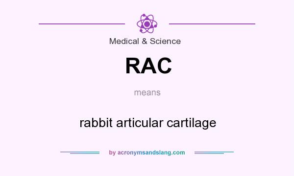 What does RAC mean? It stands for rabbit articular cartilage