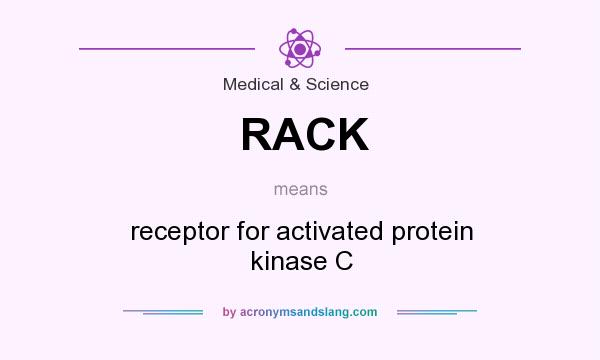 What does RACK mean? It stands for receptor for activated protein kinase C