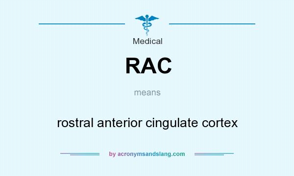 What does RAC mean? It stands for rostral anterior cingulate cortex