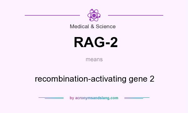 What does RAG-2 mean? It stands for recombination-activating gene 2