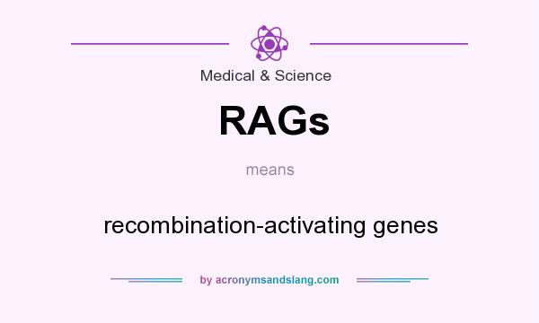 What does RAGs mean? It stands for recombination-activating genes