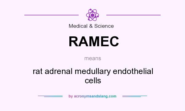 What does RAMEC mean? It stands for rat adrenal medullary endothelial cells