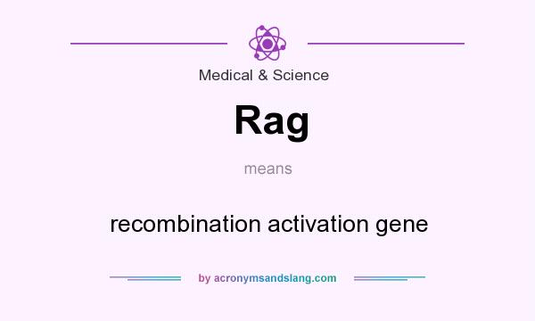 What does Rag mean? It stands for recombination activation gene