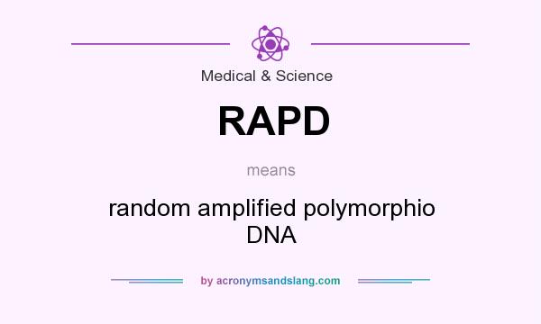 What does RAPD mean? It stands for random amplified polymorphio DNA