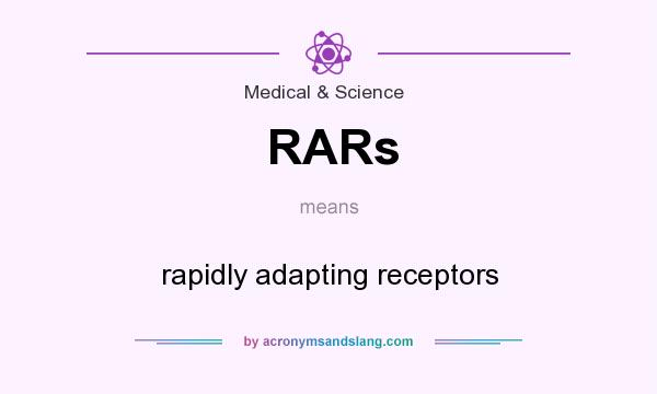 What does RARs mean? It stands for rapidly adapting receptors