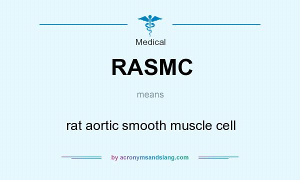 What does RASMC mean? It stands for rat aortic smooth muscle cell