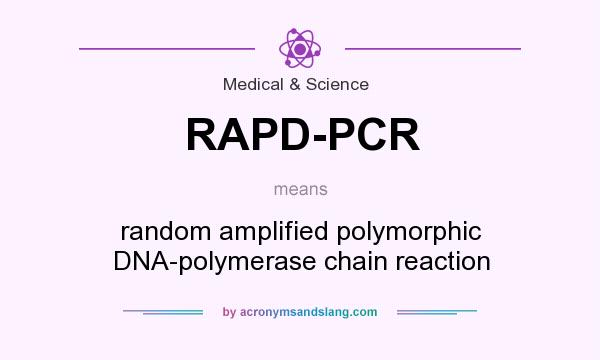 What does RAPD-PCR mean? It stands for random amplified polymorphic DNA-polymerase chain reaction