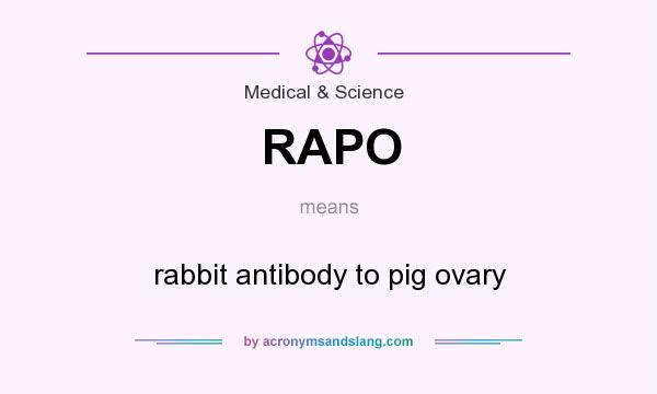 What does RAPO mean? It stands for rabbit antibody to pig ovary