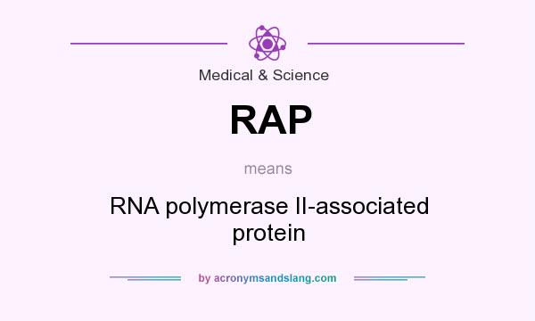 What does RAP mean? It stands for RNA polymerase II-associated protein