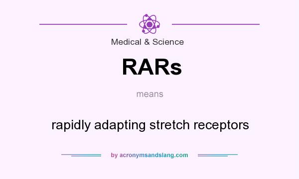 What does RARs mean? It stands for rapidly adapting stretch receptors