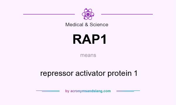 What does RAP1 mean? It stands for repressor activator protein 1