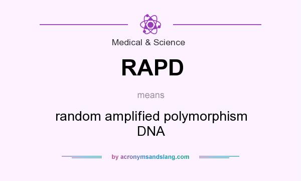 What does RAPD mean? It stands for random amplified polymorphism DNA