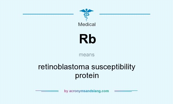 What does Rb mean? It stands for retinoblastoma susceptibility protein