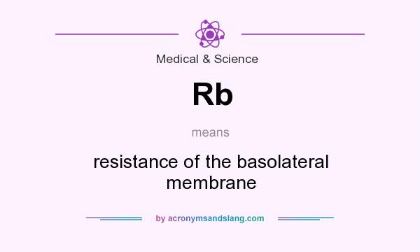 What does Rb mean? It stands for resistance of the basolateral membrane