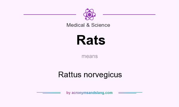What does Rats mean? It stands for Rattus norvegicus