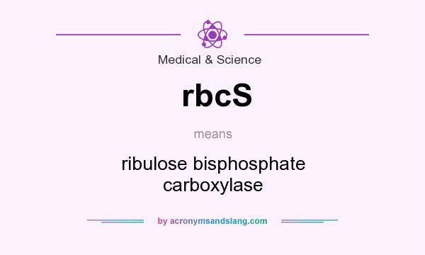What does rbcS mean? It stands for ribulose bisphosphate carboxylase