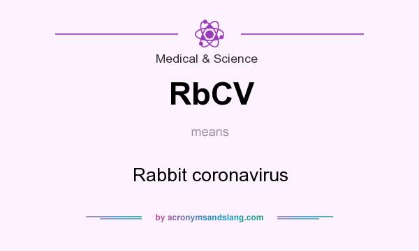 What does RbCV mean? It stands for Rabbit coronavirus