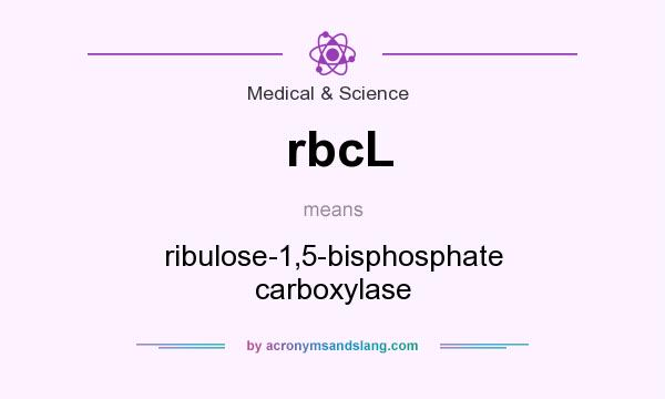 What does rbcL mean? It stands for ribulose-1,5-bisphosphate carboxylase