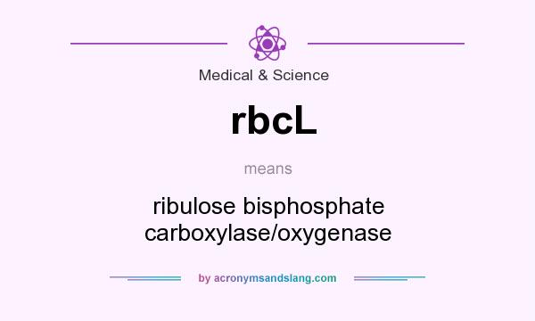 What does rbcL mean? It stands for ribulose bisphosphate carboxylase/oxygenase
