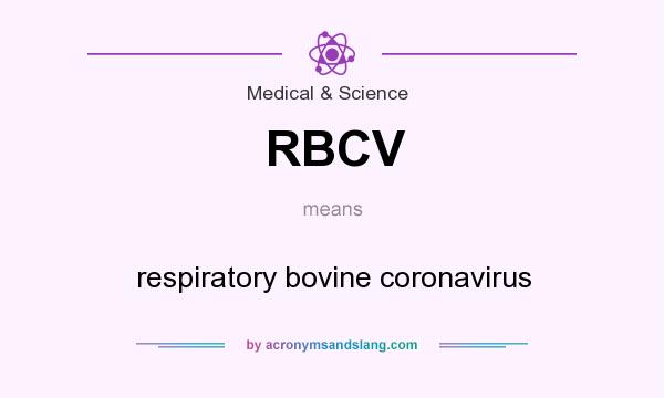 What does RBCV mean? It stands for respiratory bovine coronavirus