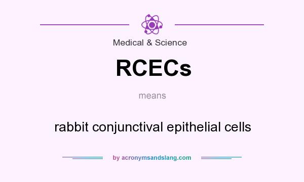 What does RCECs mean? It stands for rabbit conjunctival epithelial cells