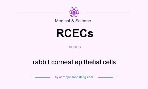 What does RCECs mean? It stands for rabbit corneal epithelial cells