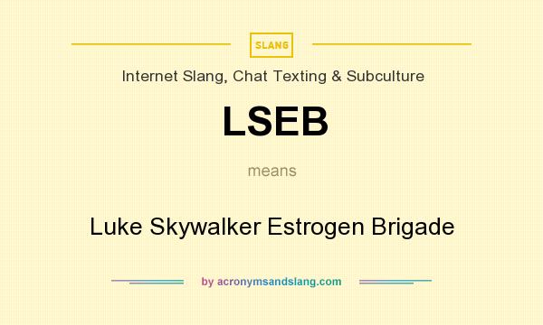 What does LSEB mean? It stands for Luke Skywalker Estrogen Brigade