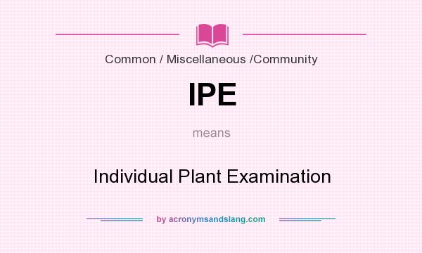 What does IPE mean? It stands for Individual Plant Examination
